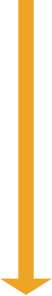 ↓
